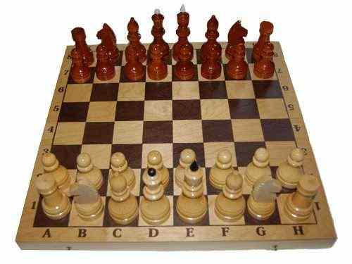 Шахматы гроссмейстерские